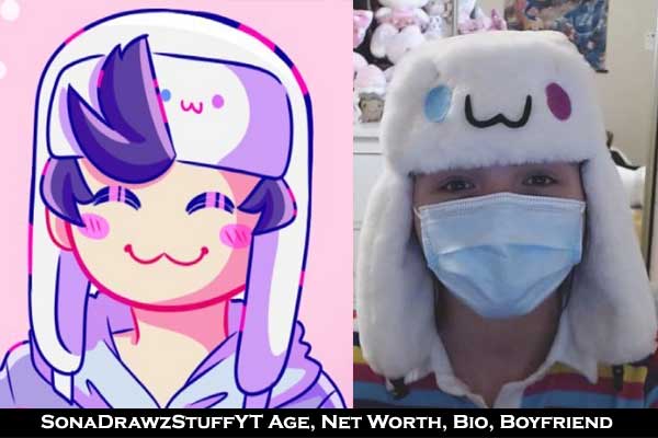 SonaDrawzStuffYT gender real name age net worth