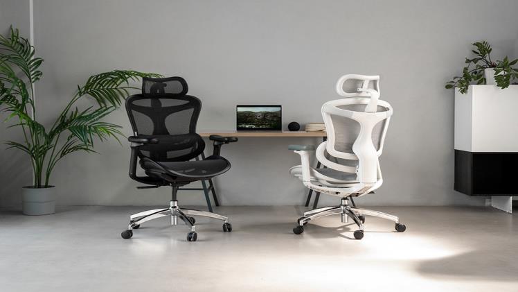 Can an Ergonomic Chair Relieve Back Pain?