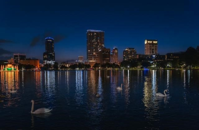 Lake with several swans and Orlando night skyline in the background.